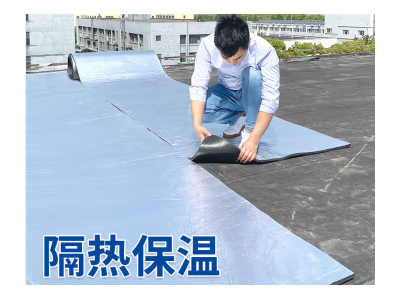 威克纳 隔热板隔热棉耐高温防火自粘阳光房隔热板屋顶隔热保温棉隔热材料橡塑板保温棉隔热板反光防晒 【B1级阻燃隔热棉】方格面10mm厚-10平方