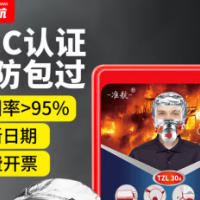 准航防毒防烟防火消防面具面罩TZL30过滤式火灾逃生自救呼吸消防器材
