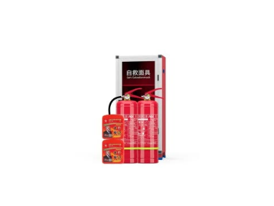 干粉灭火器 消防商用灭火器套装 4公斤干粉灭火器2具+丰安呼吸器2个