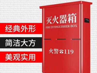 灭火器批发4公斤车用手提式8公斤干粉灭火器箱子套装图4