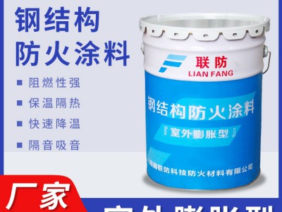 厂家直供室外膨胀型钢结构防火涂料隔音降噪隔热阻燃可施工验收