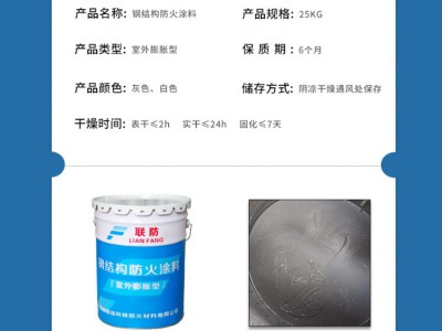 厂家直供室外膨胀型钢结构防火涂料隔音降噪隔热阻燃可施工验收图2
