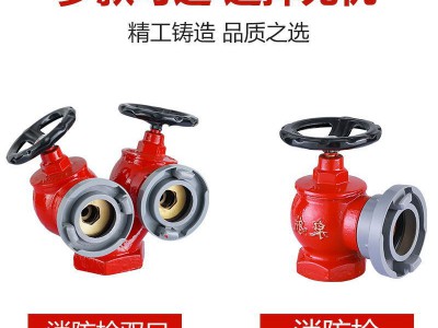 闽文新店开业消防器材 消火栓 减压稳压栓 DN65消防栓 室内消火栓图2