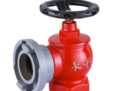 闽文新店开业消防器材 消火栓 减压稳压栓 DN65消防栓 室内消火栓图5