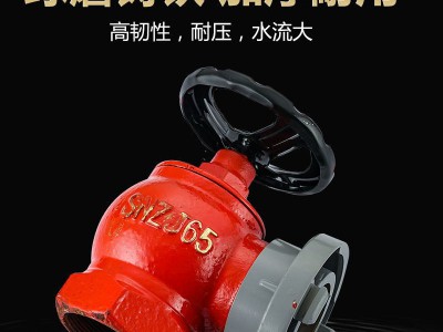 闽文新店开业消防器材 消火栓 减压稳压栓 DN65消防栓 室内消火栓图3