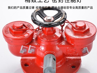 闽峰地上地下消防新型多用途水泵接合器SQD100/150-1.6水泵结合器图3