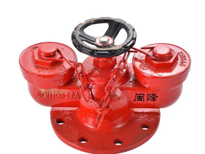 闽峰地上地下消防新型多用途水泵接合器SQD100/150-1.6水泵结合器图2