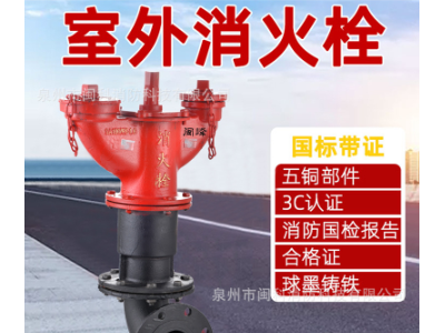 室外消火栓地下栓消防栓地下式消防供水栓地上消火栓SA100/65-1.6图2