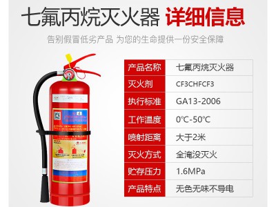 浙安手提式七氟丙烷灭火器机房用灭火器档案室灭火器支持一件代发图5