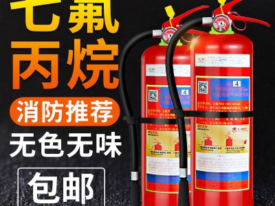 浙安手提式七氟丙烷灭火器机房用灭火器档案室灭火器支持一件代发图4