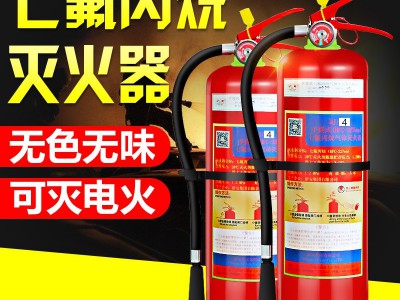 浙安手提式七氟丙烷灭火器机房用灭火器档案室灭火器支持一件代发图3