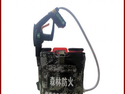 灭火水枪 背负式灭火水枪 电动灭火水枪 背桶式水枪图3