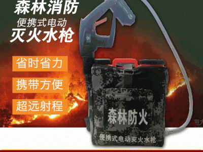 灭火水枪 背负式灭火水枪 电动灭火水枪 背桶式水枪