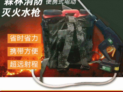 灭火水枪 背负式灭火水枪 电动灭火水枪 背桶式水枪图2