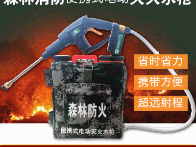灭火水枪 背负式灭火水枪 电动灭火水枪 背桶式水枪图4