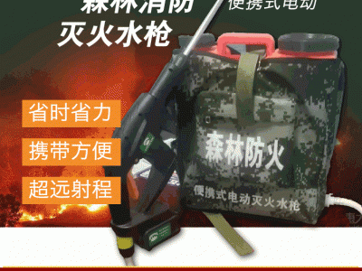 灭火水枪 背负式灭火水枪 电动灭火水枪 背桶式水枪图5