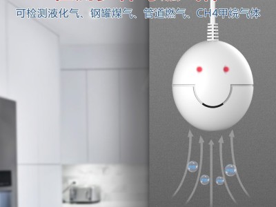赛特威尔天燃气一氧化碳报警器家用厨房饭店餐饮煤气罐液化天然气图2
