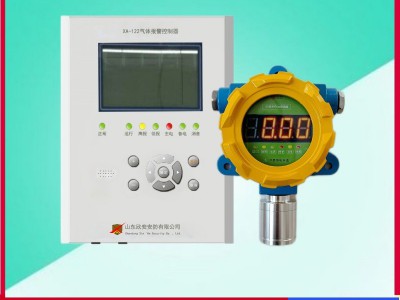 工业用固定壁挂式氧气检测仪O2浓度检测仪报警探测器变送器控制器图4