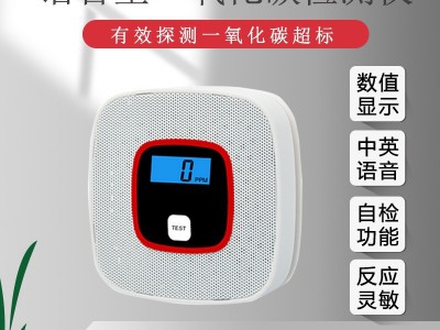 外贸款家用一氧化碳报警器 煤气CO警报器图5