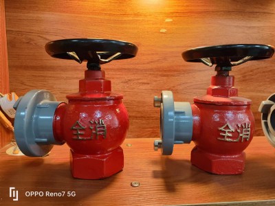 消防室内消防栓SN65 SNW65-I减压稳压型室内消火栓单头龙头消防栓图3
