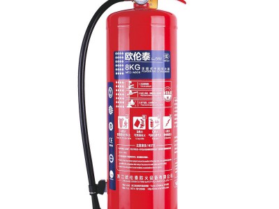 厂家直销欧伦泰手提式ABC干粉灭火器车用家用消防器材新标90%干粉图5