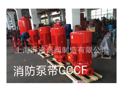 A沂洺 供XBD3.2/1.8W-L单级单吸管道消防泵 3CF证书带AB签消防泵图5