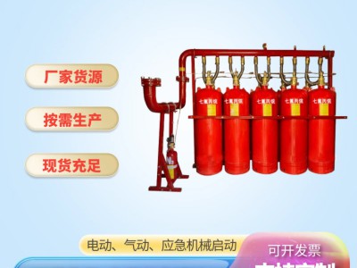 有管网气体灭火系统生产厂家消防灭火装置设备批发七氟丙烷图2