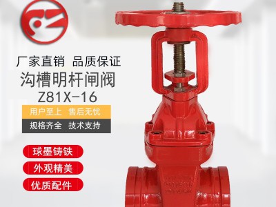沟槽明杆闸阀Z81X手动软密封型闸阀铸铁卡套弹性座封闸阀厂家直销图2