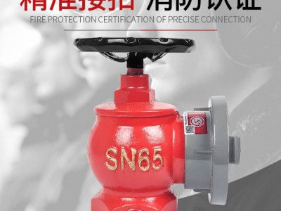 消火栓头65 减压稳压消火栓 65 室内栓消防器材消火栓箱配套图2
