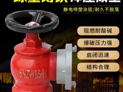 消火栓头65 减压稳压消火栓 65 室内栓消防器材消火栓箱配套图4