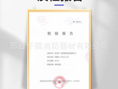 森林防火往复式灭火水枪单兵灭火水枪背负式水囊水桶灭火水枪厂家图4