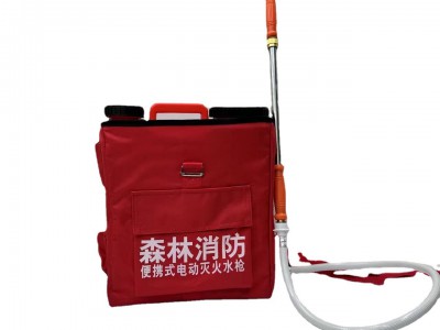 森林防火往复式灭火水枪单兵灭火水枪背负式水囊水桶灭火水枪厂家图5