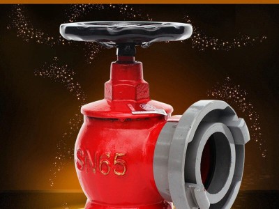 厂家直销消防栓室内消火栓SN65减压稳压加高可旋转栓卷盘双出口栓图3