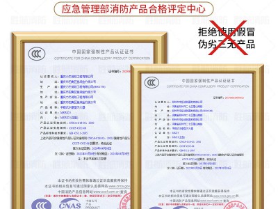 厂家直销家用店用手提式水基型灭火器2L3L新标准消防器材消防设备图3