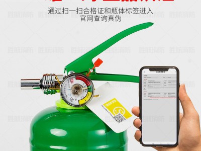 厂家直销家用店用手提式水基型灭火器2L3L新标准消防器材消防设备图2