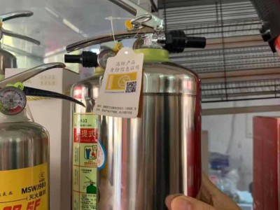 柳成不锈钢水基灭火器 2L不锈钢水基灭火器 夜光水基家用灭火器图4