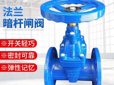 沪工沪航阀门软密封暗杆法兰闸阀Z45X-16Q手动消防给排水铸铁闸阀