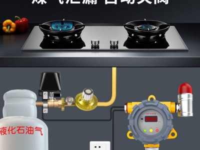 喷漆锅炉房工业可燃气体探测器金盛安JY-LDF-101固定式燃气报警器图5