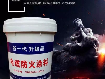室外薄型钢结构防火涂料 厂家直供资料齐全的钢结构防火油漆图2