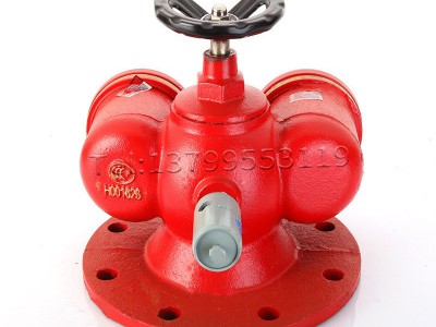 SQD100/65多用式地上消防水泵接合器 SQD150多功能新式水泵结合器图5