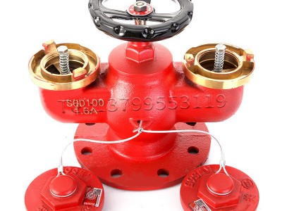 SQD100/65多用式地上消防水泵接合器 SQD150多功能新式水泵结合器图2