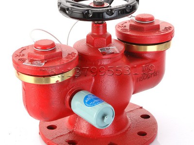 SQD100/65多用式地上消防水泵接合器 SQD150多功能新式水泵结合器图4