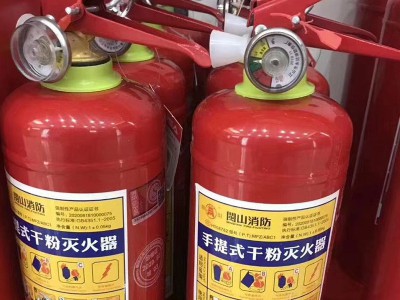 闽山干粉灭火器家用手提式ABC干粉灭火器磷酸铵盐消防灭火器4公斤图2