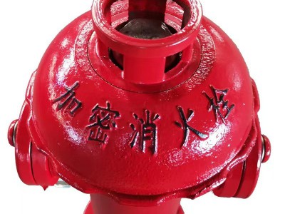 消防栓厂家加密调压稳压型室外地上消火栓SS100/65-1.6现货直供图3
