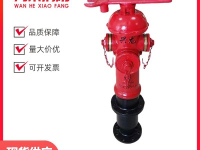 消防栓厂家加密调压稳压型室外地上消火栓SS100/65-1.6现货直供图2