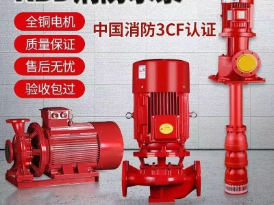 乐山市消火栓泵XBD-L立式消防泵消防喷淋泵室外增压稳压单级水泵图2