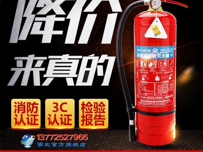 干粉灭火器手提式4KG灭火器车载灭火器1KG2公斤消防灭火器图3