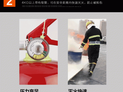 干粉灭火器手提式4KG灭火器车载灭火器1KG2公斤消防灭火器图5
