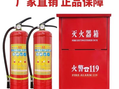 厂家供应干粉灭火器2KG/4KG/6KG 家用商用工厂仓库手提式灭火器图2