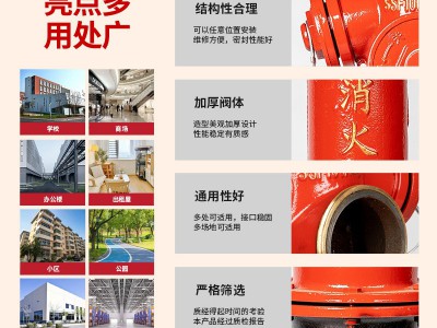 泉南 厂家直销 室外防撞式消防栓SSF100/65-1.6/SSF150/80-1.6图5